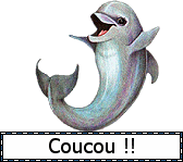 Gif animé coucou dauphin